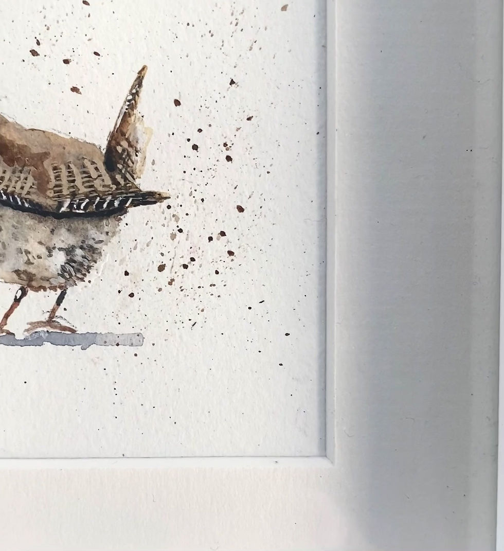 Thumbnail: Garden Wren (Framed)