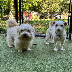 Meet Bert & Ernie!