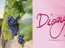 Nous serons présents à DIONYSUD 2022 à Béziers