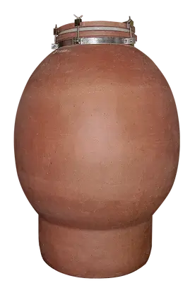 Ovo-2024.webp