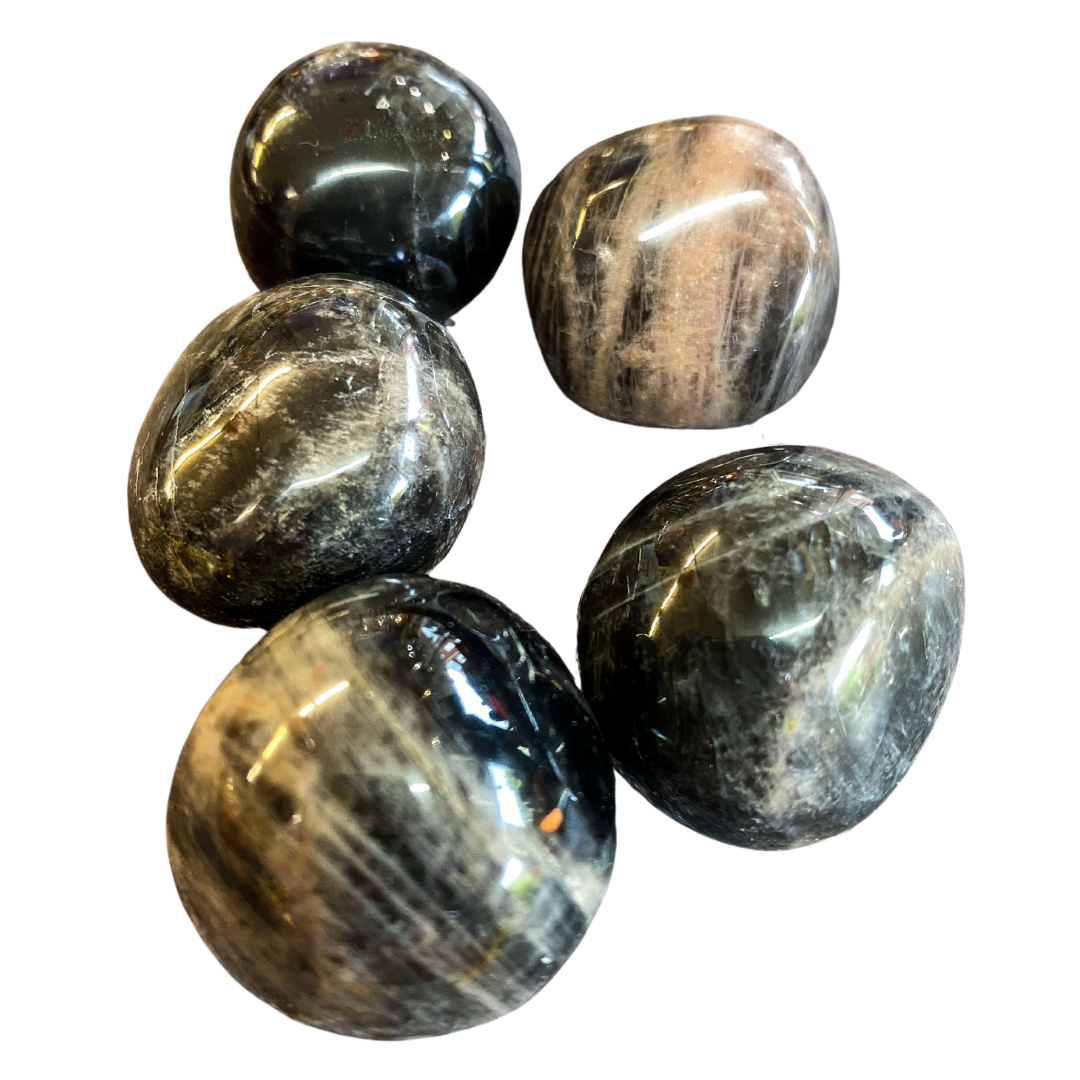 Polished Black Moonstone Tumblestone
