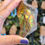 Thumbnail: Ammolite Rough Specimen side angle right