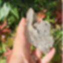 Chlorite in Quartz Half Point