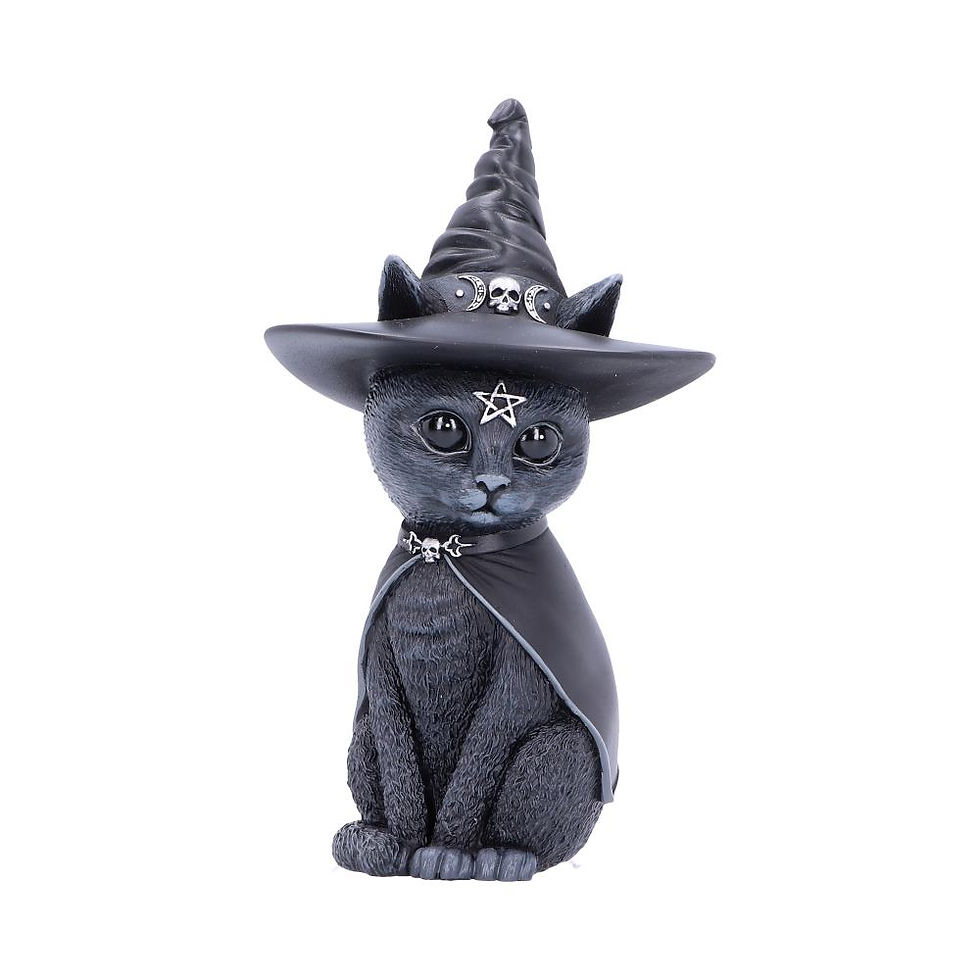 Purrah Witches Hat Cat Figurine front