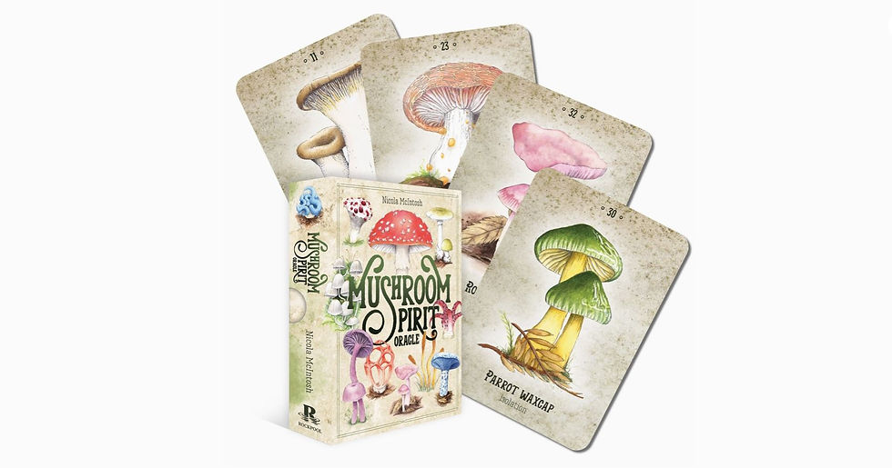 Mushroom Spirit Oracle by Nicola McIntosh