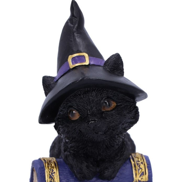 Thumbnail: Pocus Witches Familiar Black Cat and Spellbook Figurine 12.7cm close up