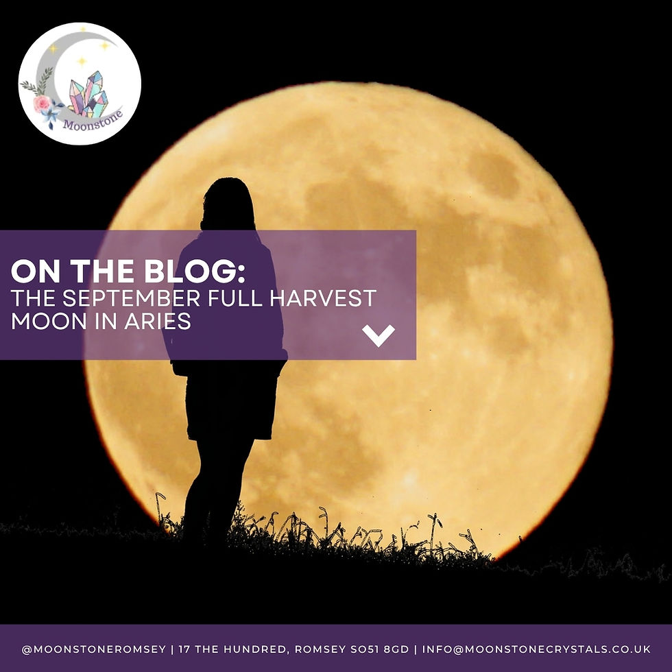an image of a full moon that has a dusky orange hue with a silhouette of a person in front of it