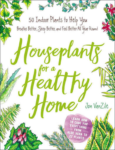 Houseplants For A Healthy Home by Jon Vanzile