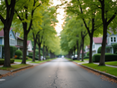 Top-Rated Tree Service and Real Estate Development