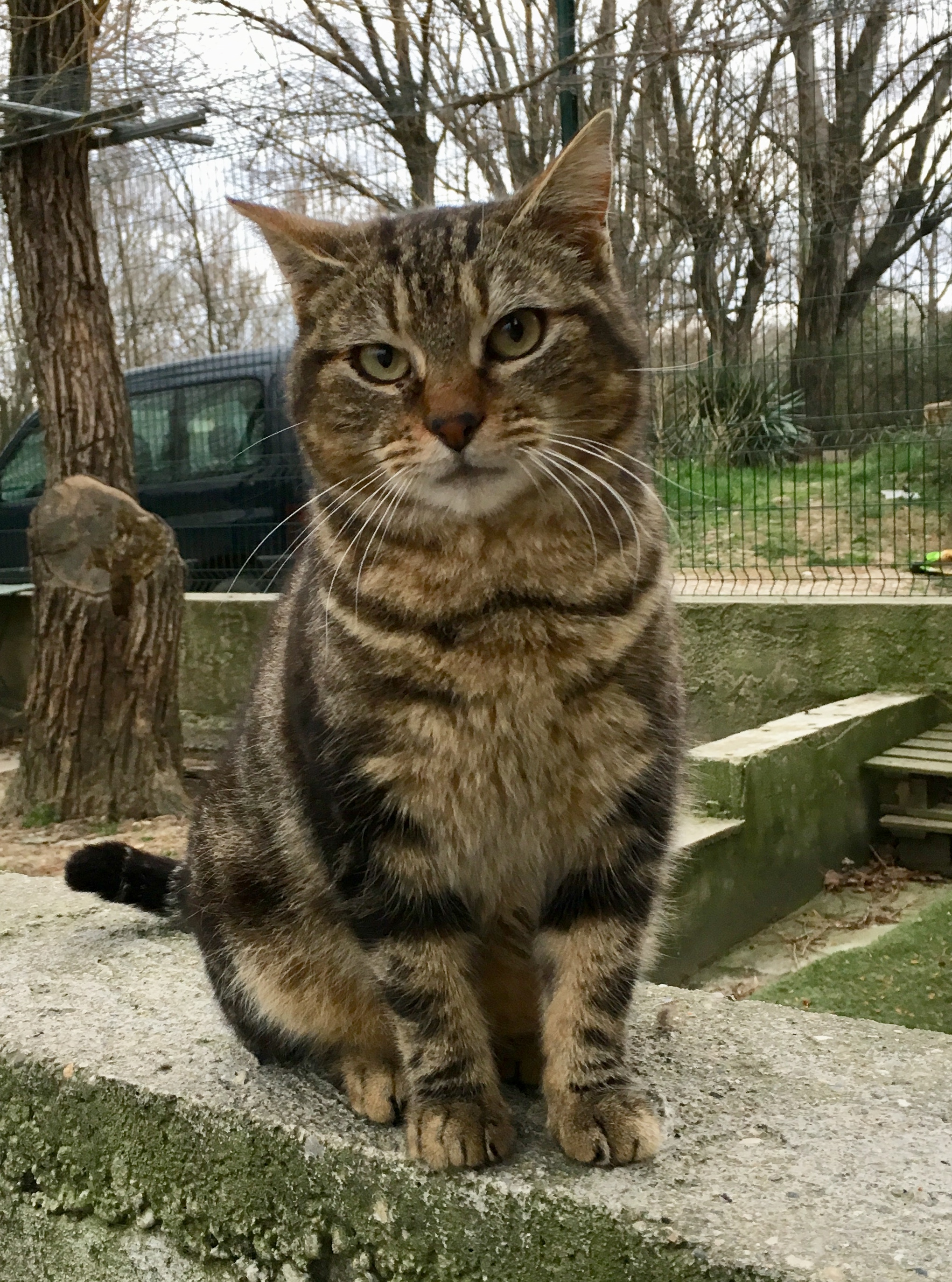 NOVA