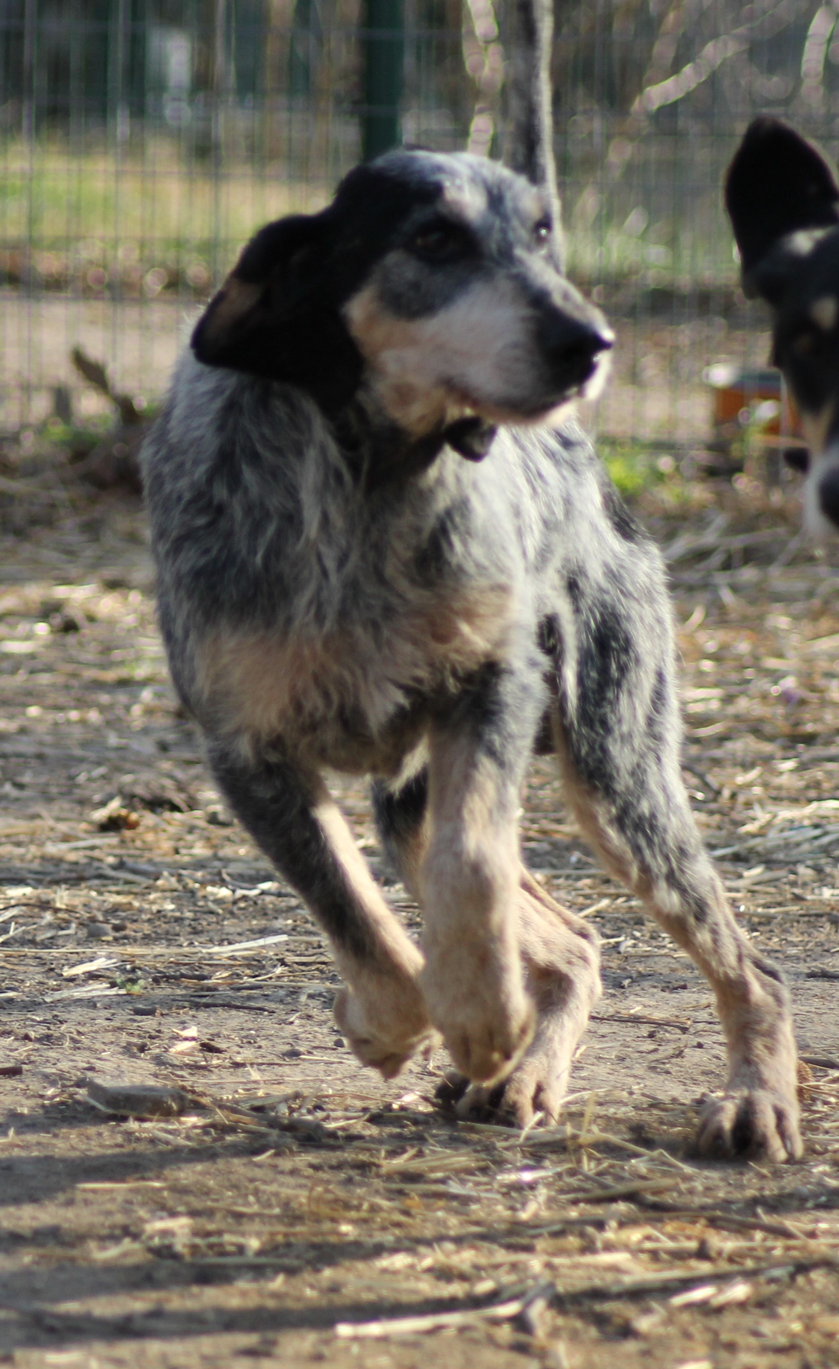 COOPER