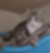 Xana.png