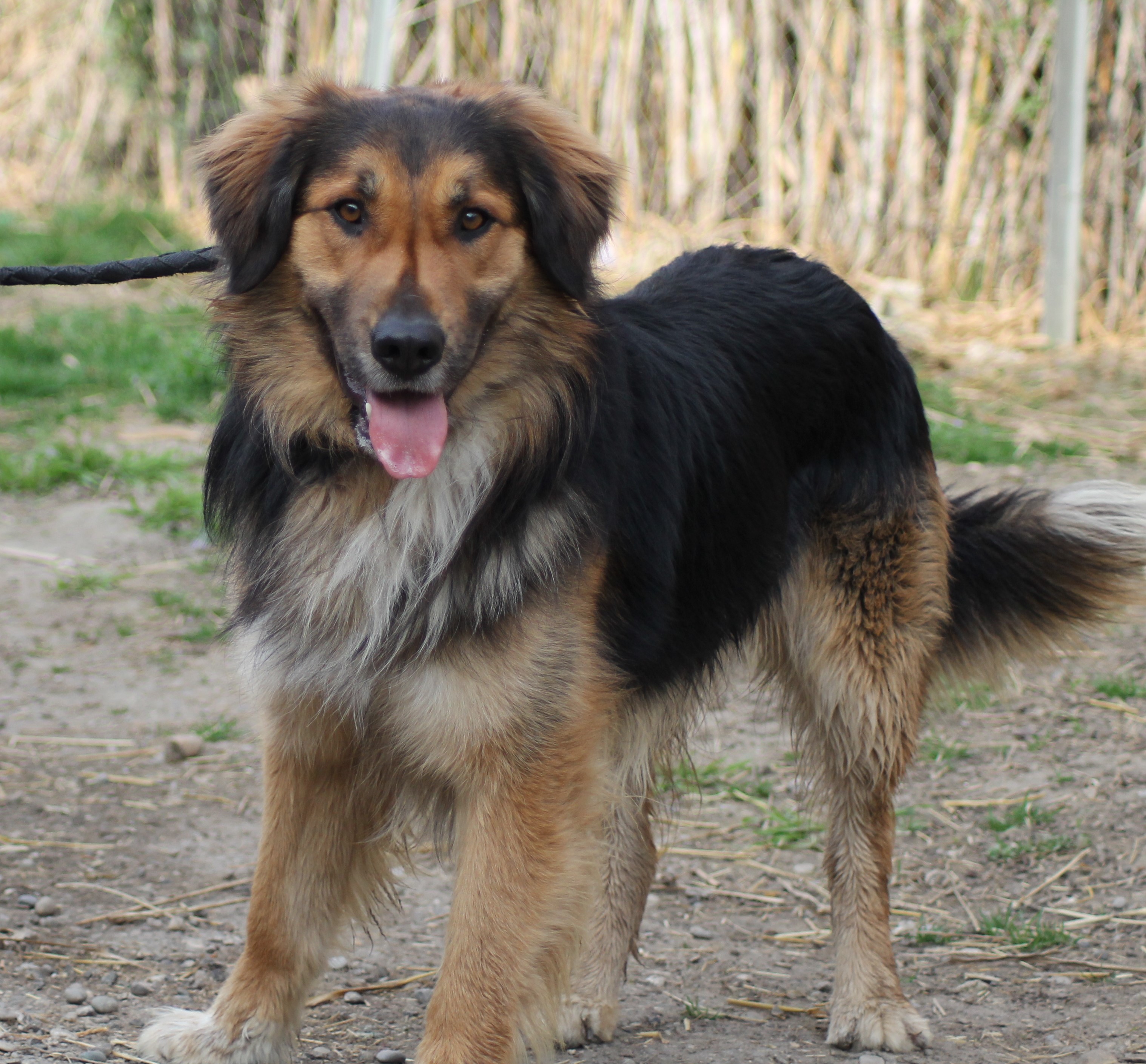 TOUPAC