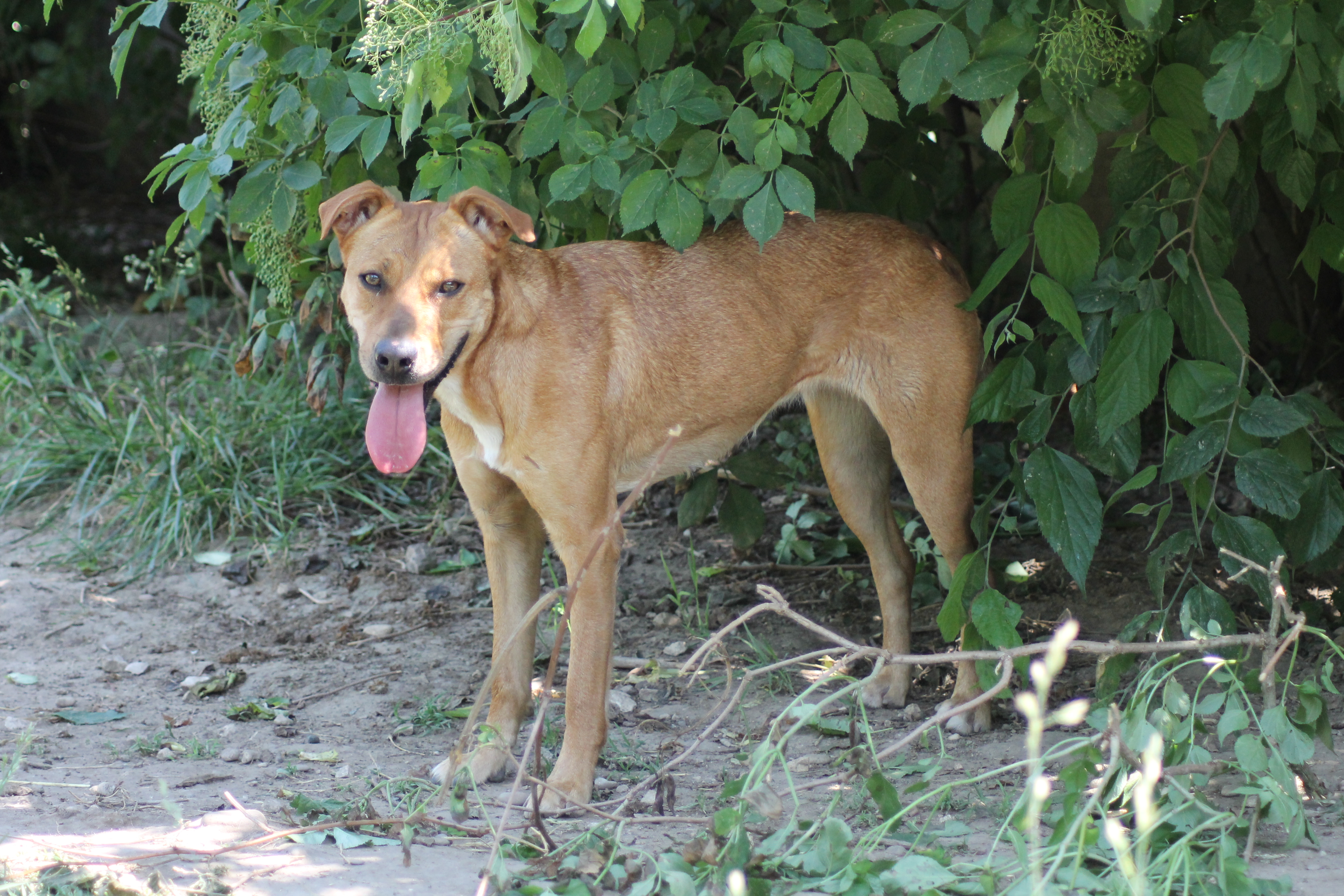 MADDY