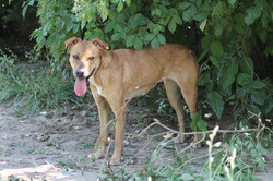 MADDY