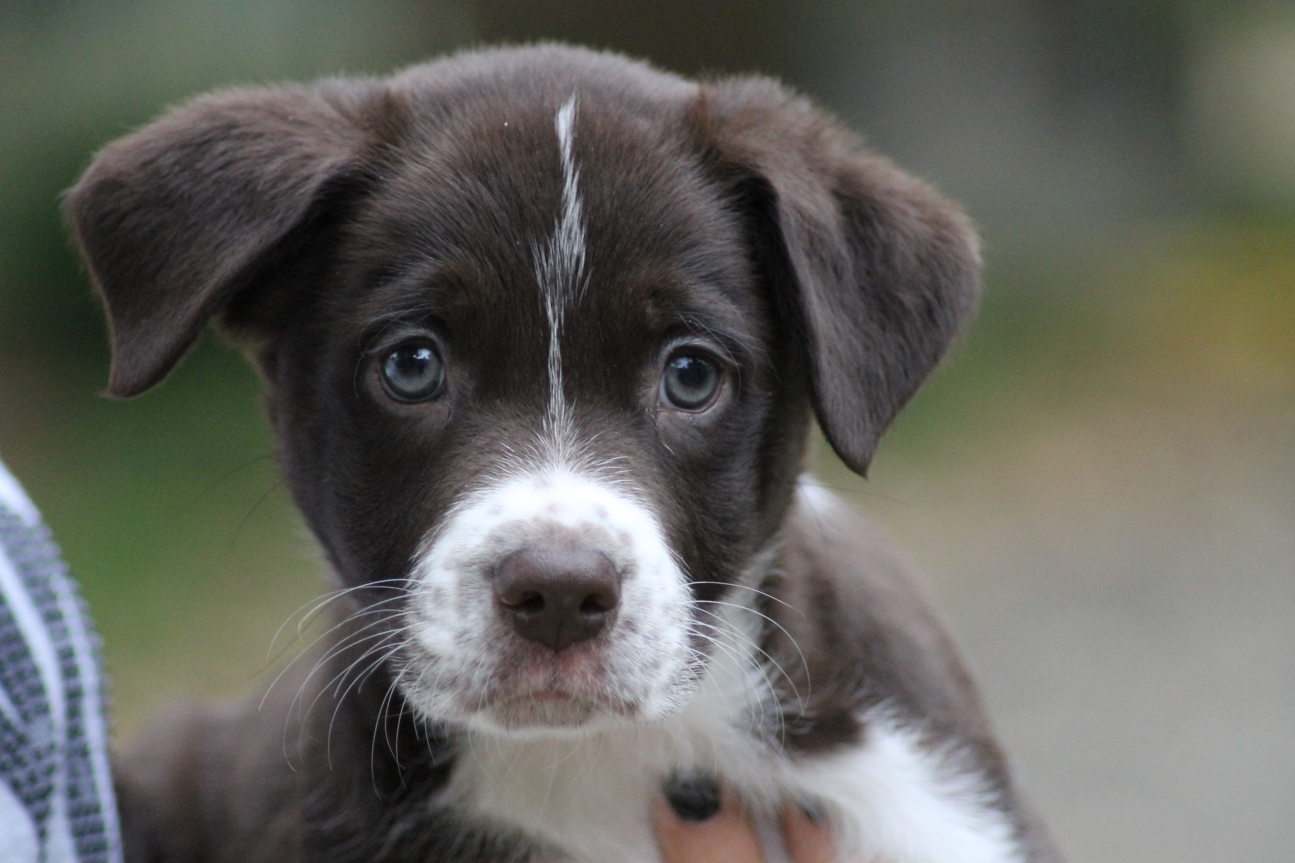 MARLEY