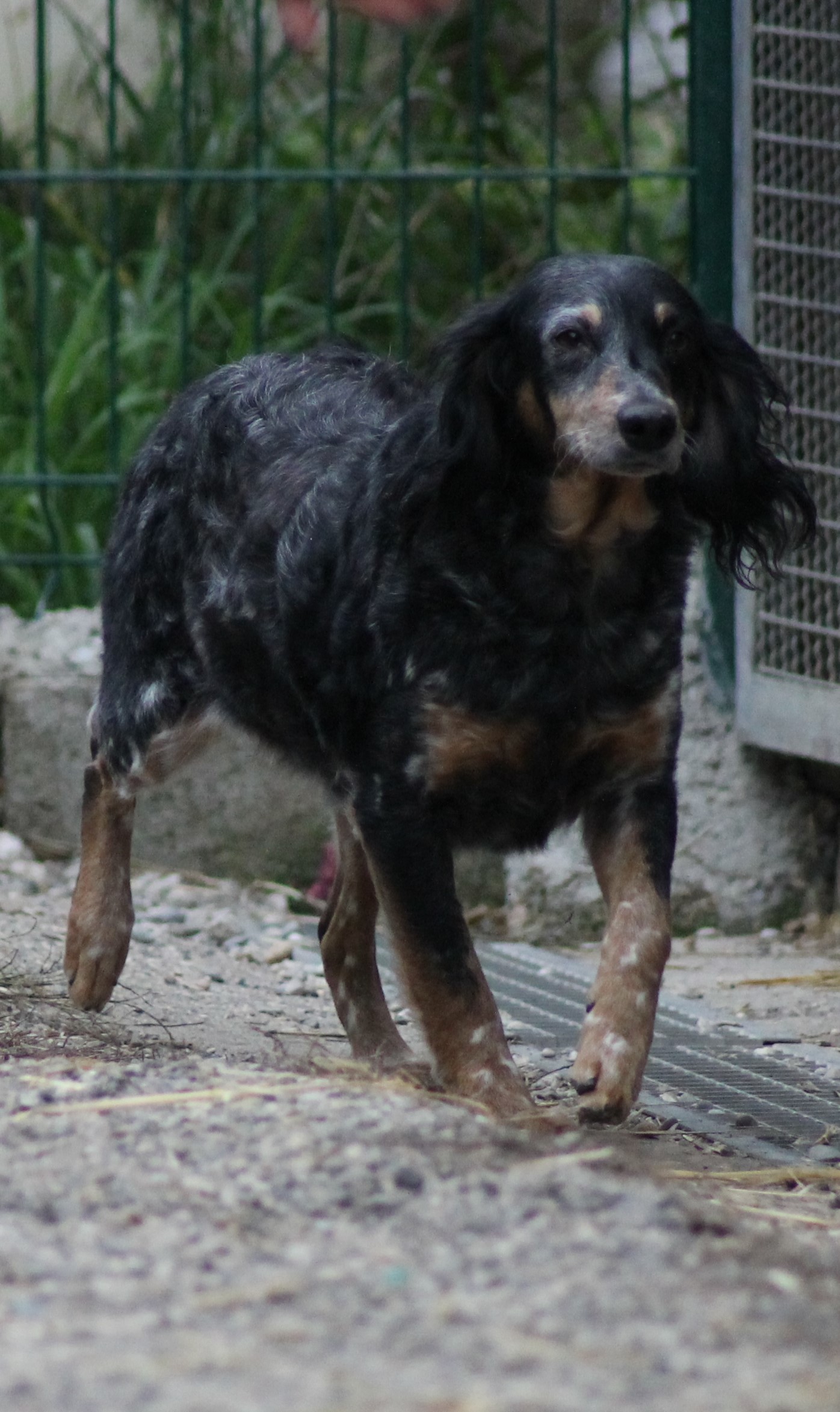 WINNIE