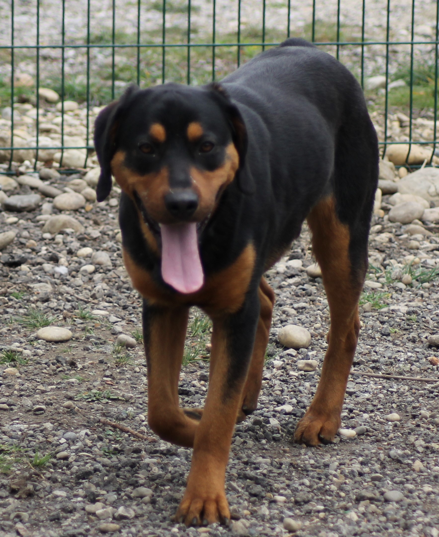 ULYSSE
