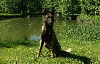 HEIMDALL