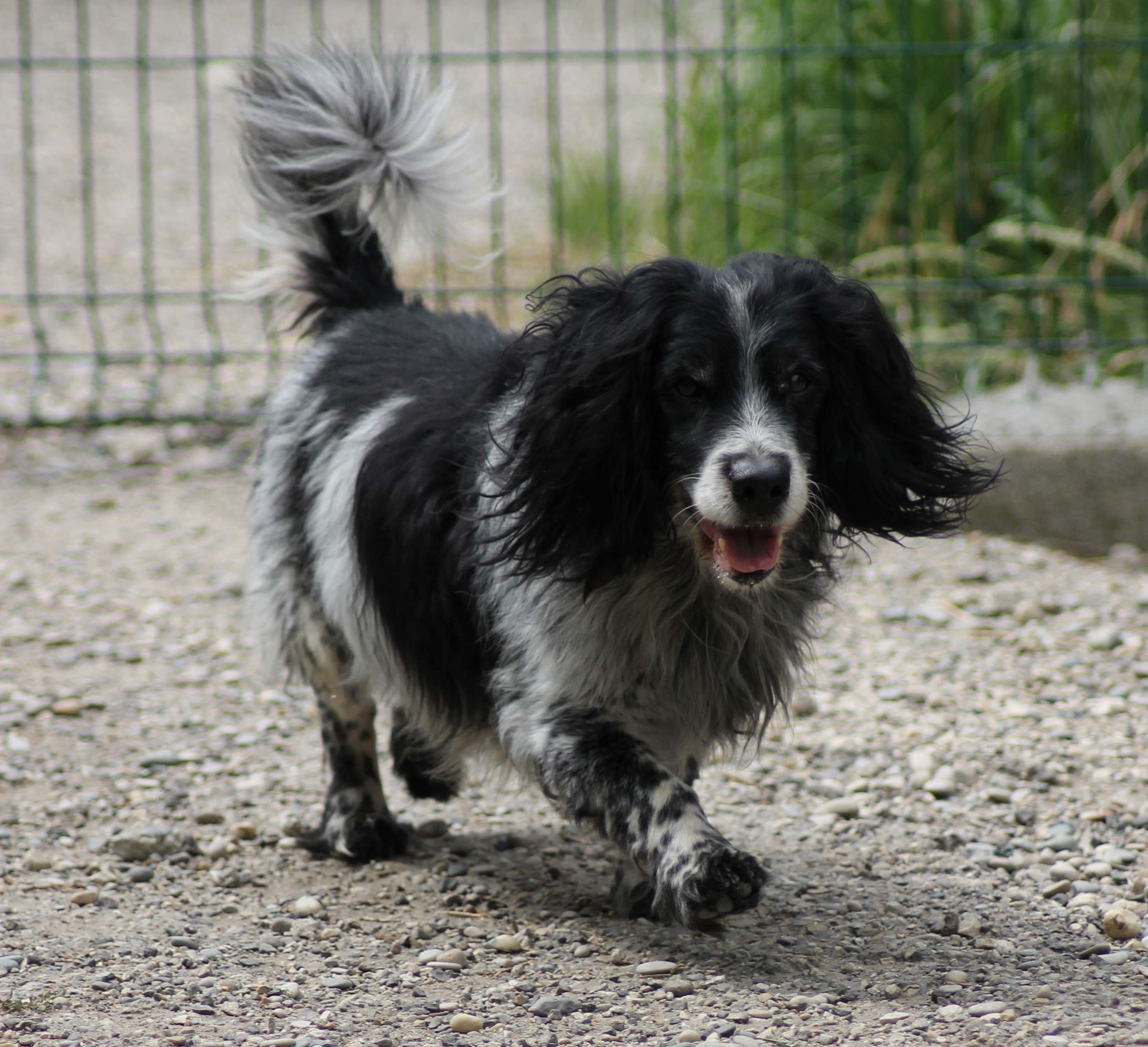 SOCRATE