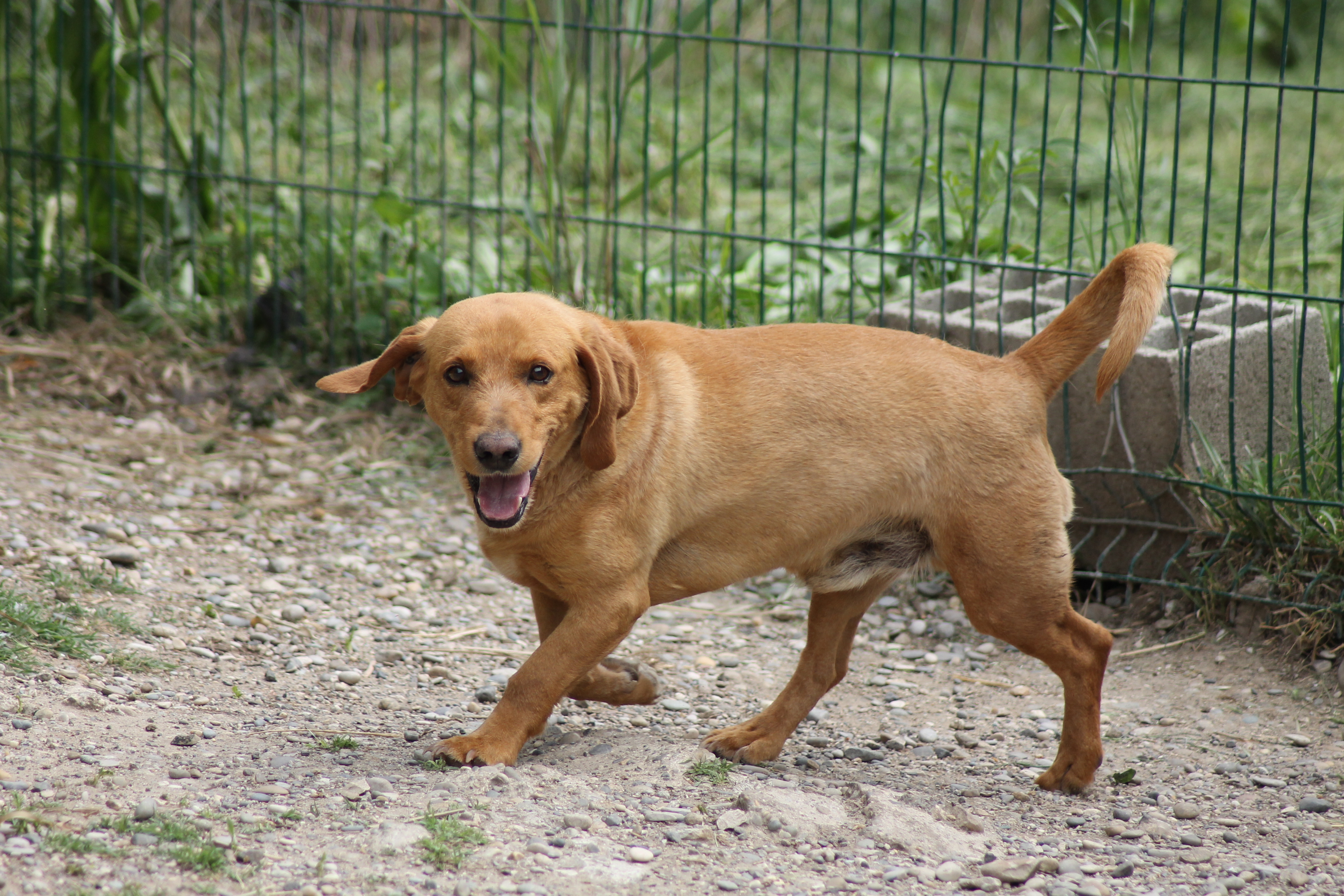 FINOU
