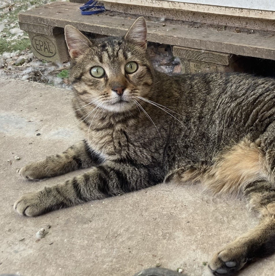 Chouchou ♂️.jpeg