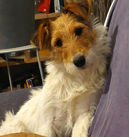 Capture d'écran 2026-02-07 155509_edited.jpg