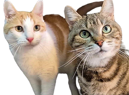 Alberta et Albert_edited_edited.png