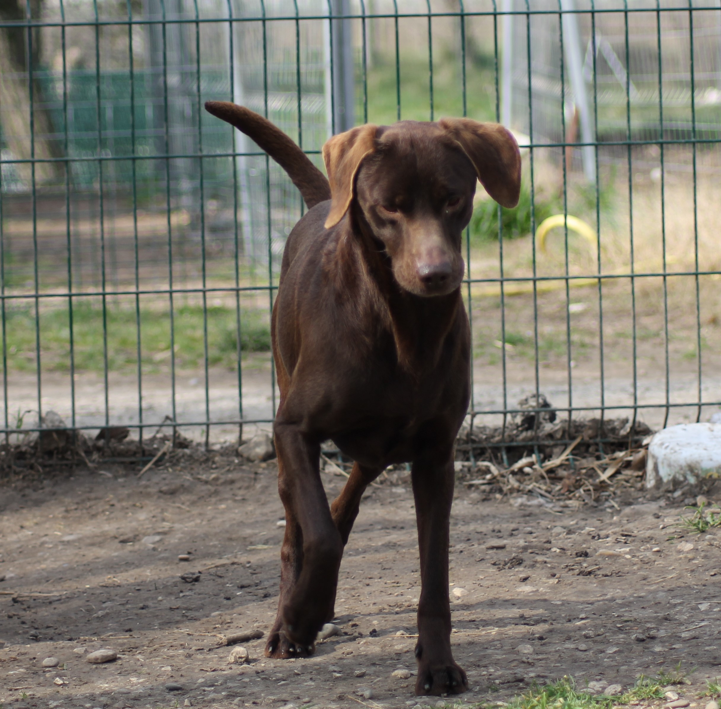 BILLY