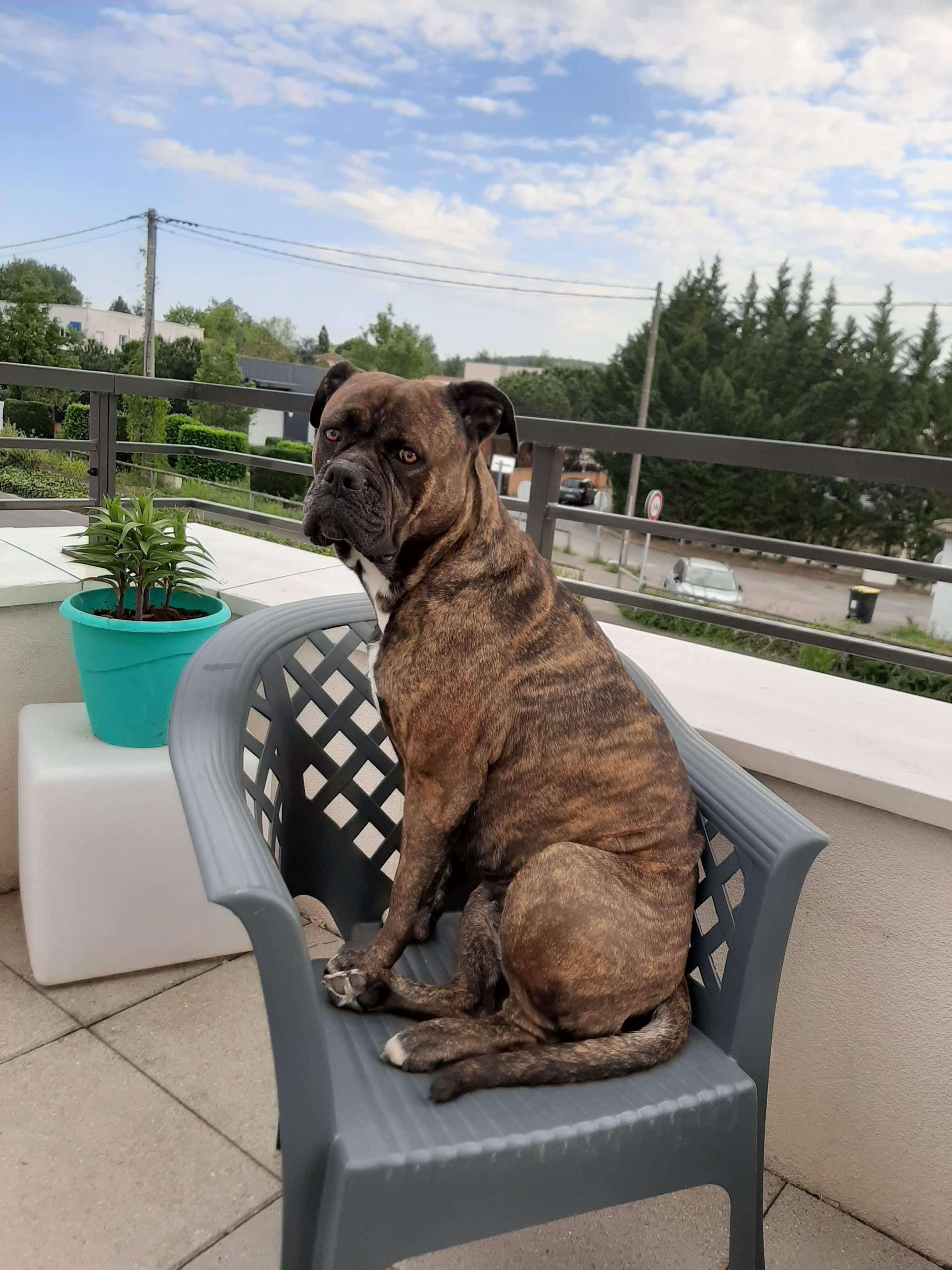 MAYA ♀