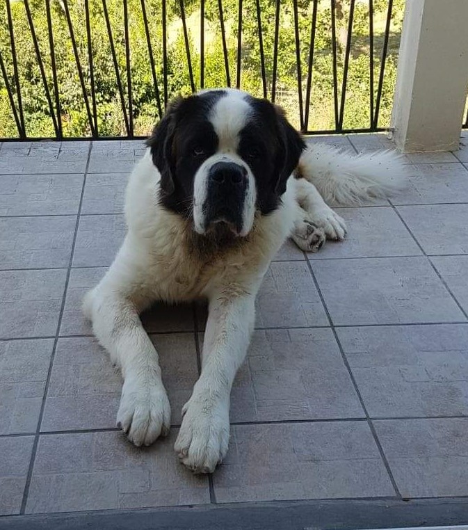 OTIS