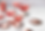 Screenshot 2024-12-08 at 7.57.04 PM.png