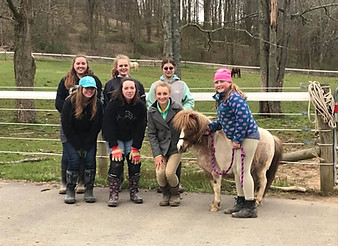 Pleasant Valley Rescue Ranch