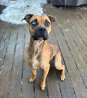 WhatsApp Image 2026-03-16 at 20.49.51.jpeg