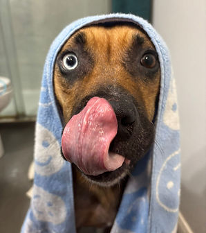 WhatsApp Image 2026-03-16 at 20.49.49.jpeg