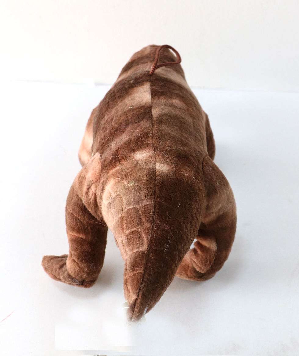 Thumbnail: crocodile