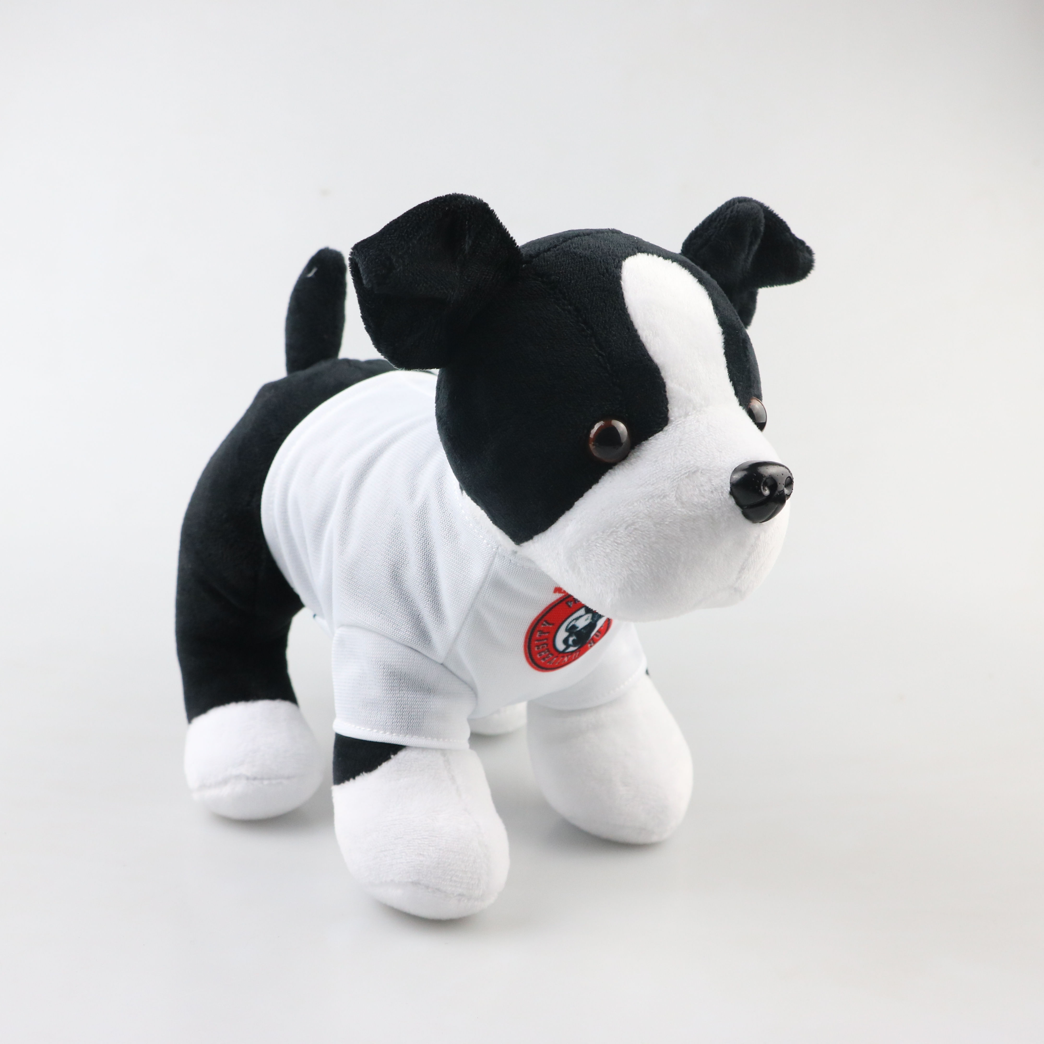 Boston University Mascot, Customizable College Promo