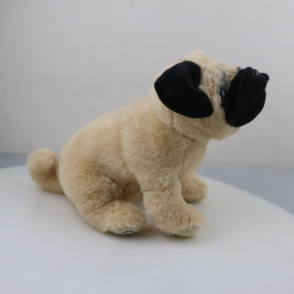 Thumbnail: A Pug Memorial Keepsake & Ash Storage Urn with Pouch