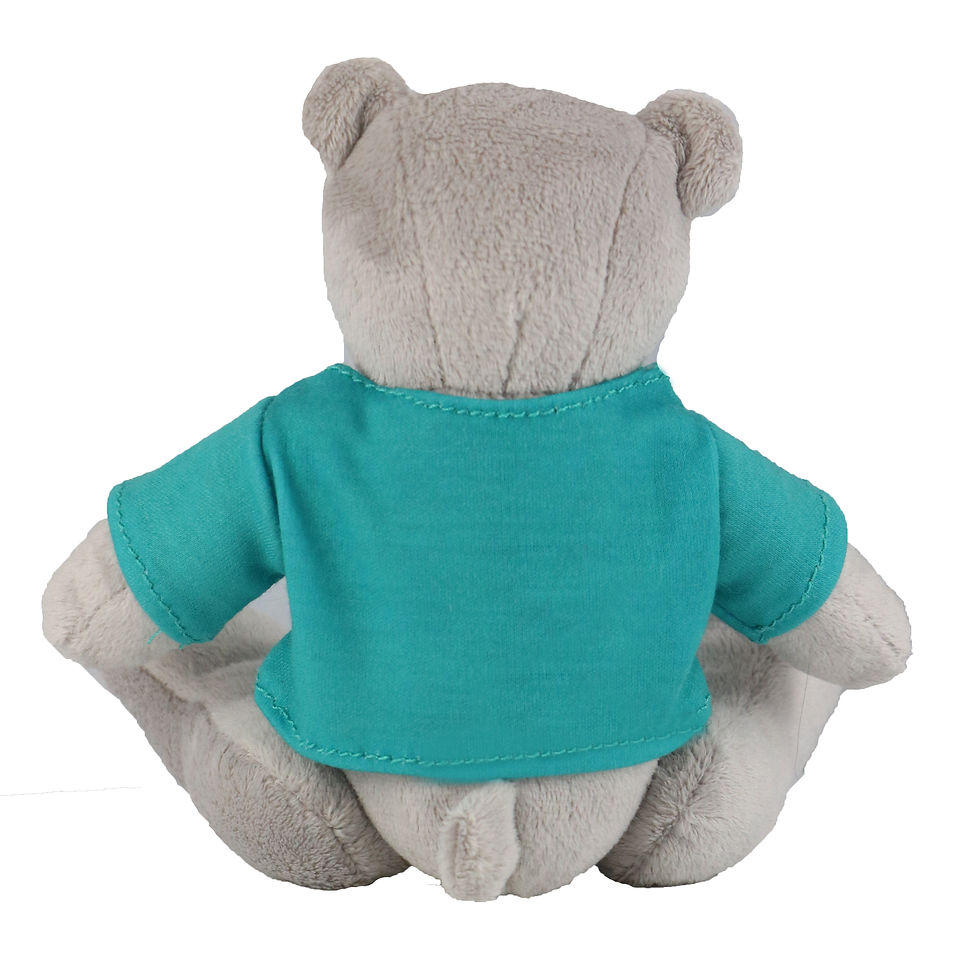 Thumbnail: Bear Gale Wearing Custom Scrub