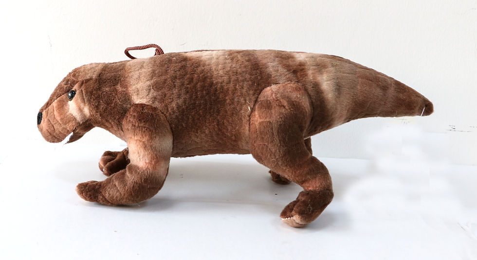 Thumbnail: crocodile