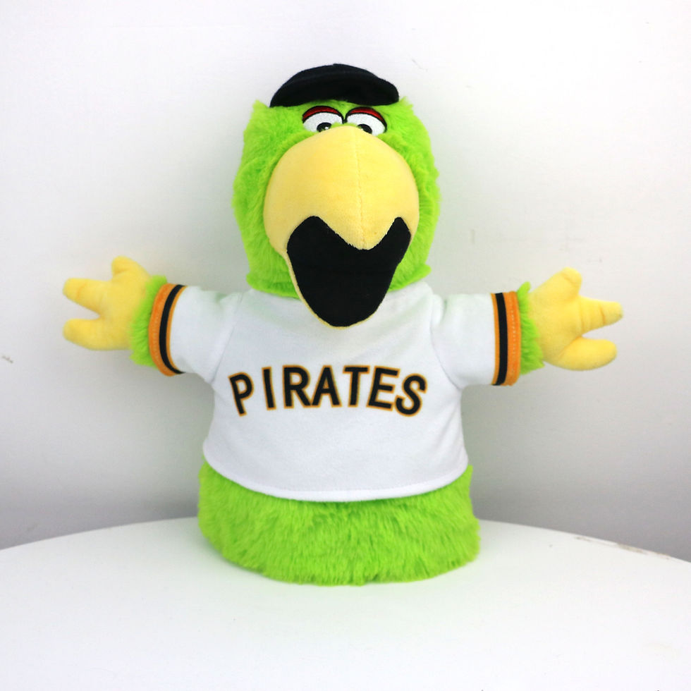 Pirate Puppet