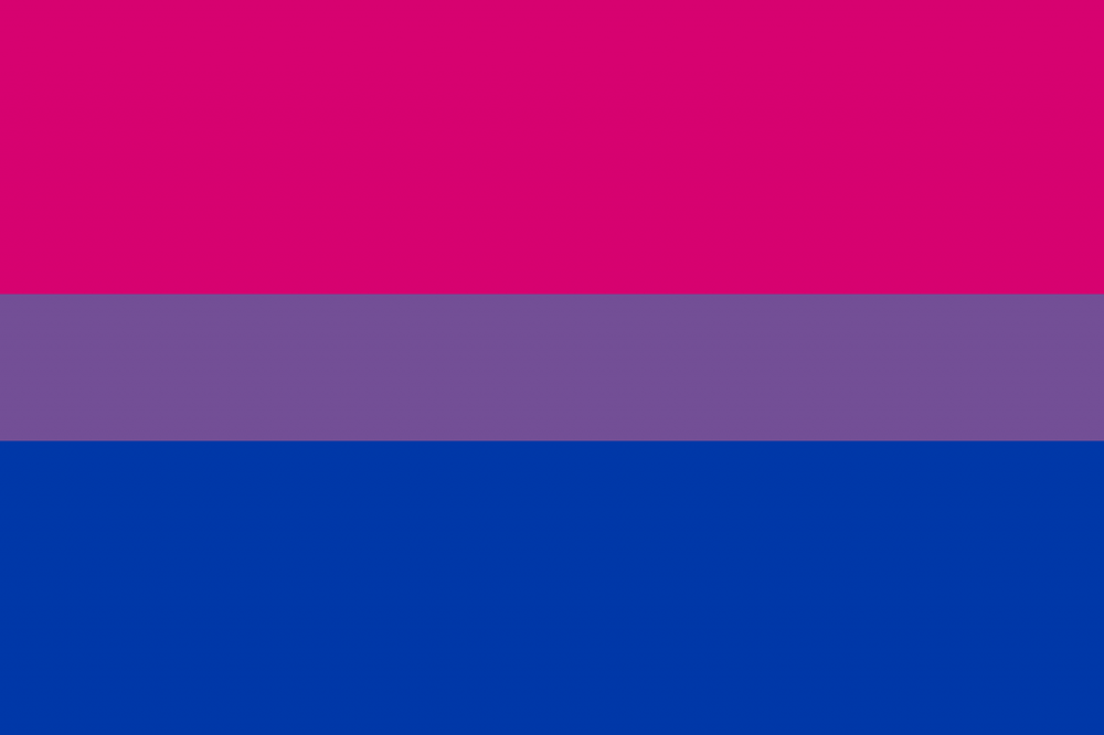 Bandeira do Orgulho Bissexual