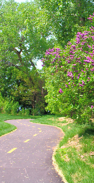 The Reeve Lakeside
