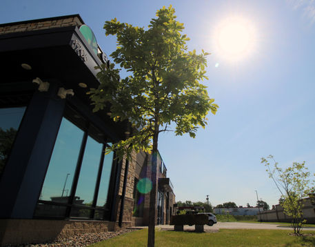 First Care Pregnancy Center  Maplewood, MN