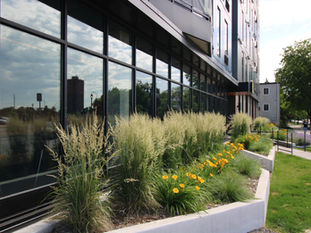 Luna Apartments Minneapolis, MN
