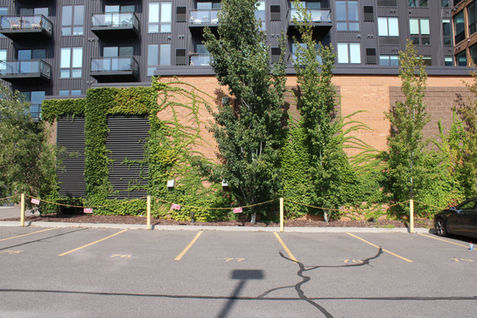 Borealis Apartments. Minneapolis, MN