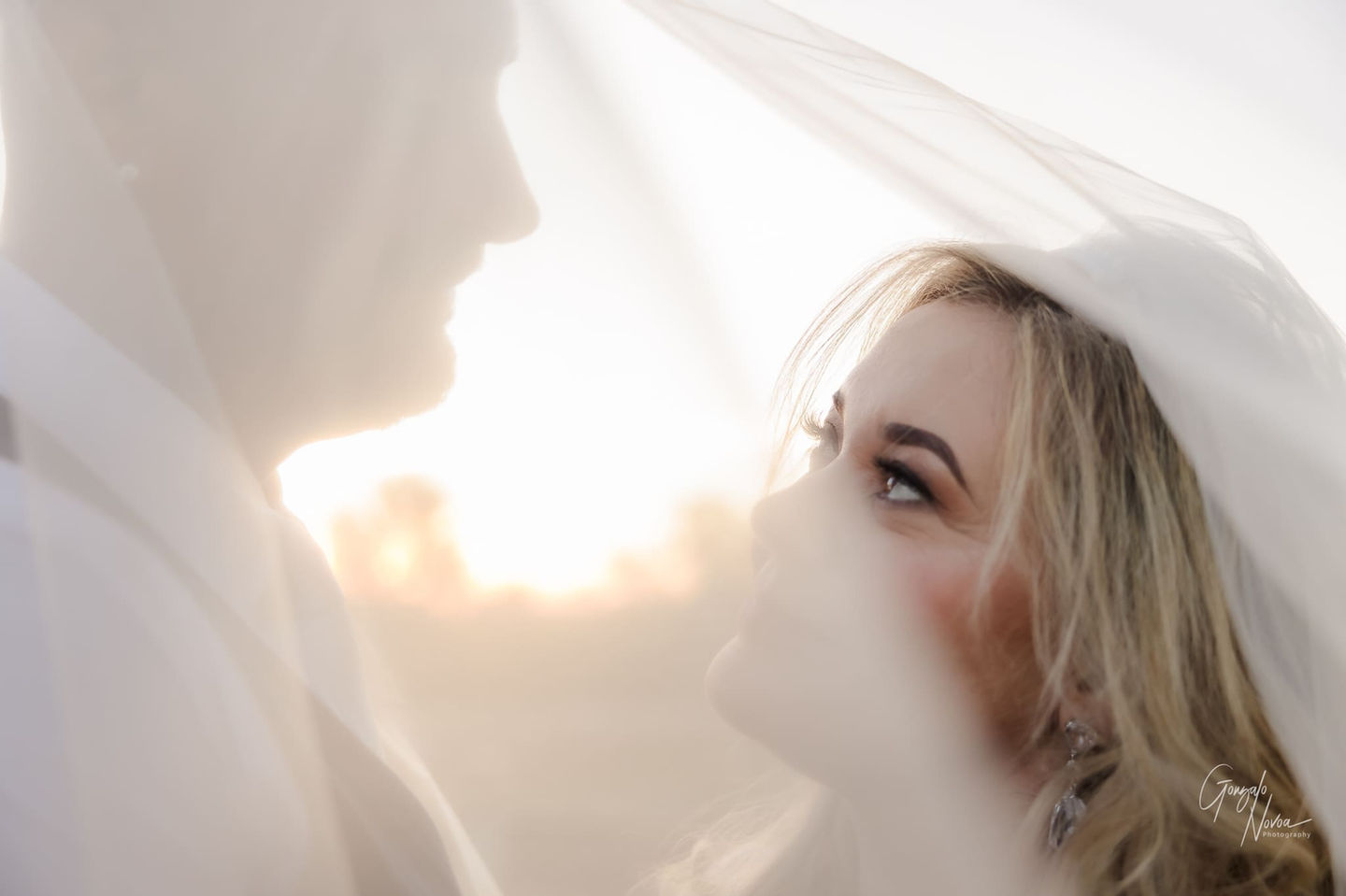 A close-up of Donna gazing lovingly at Steven through the soft veil, with the warm glow of the sunset in the background. Donna’s face is softly illuminated, capturing an intimate and romantic moment during their wedding day.