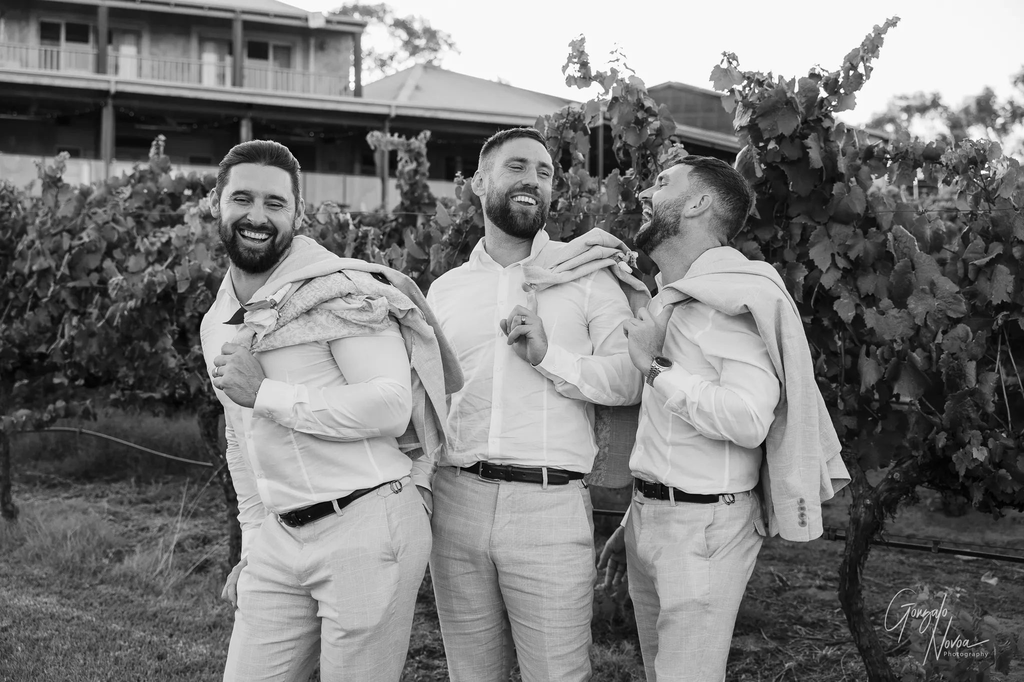 Three groomsmen standing in front of vineyard rows, laughing together with jackets slung over their shoulders, dressed in white shirts and light-coloured trousers
