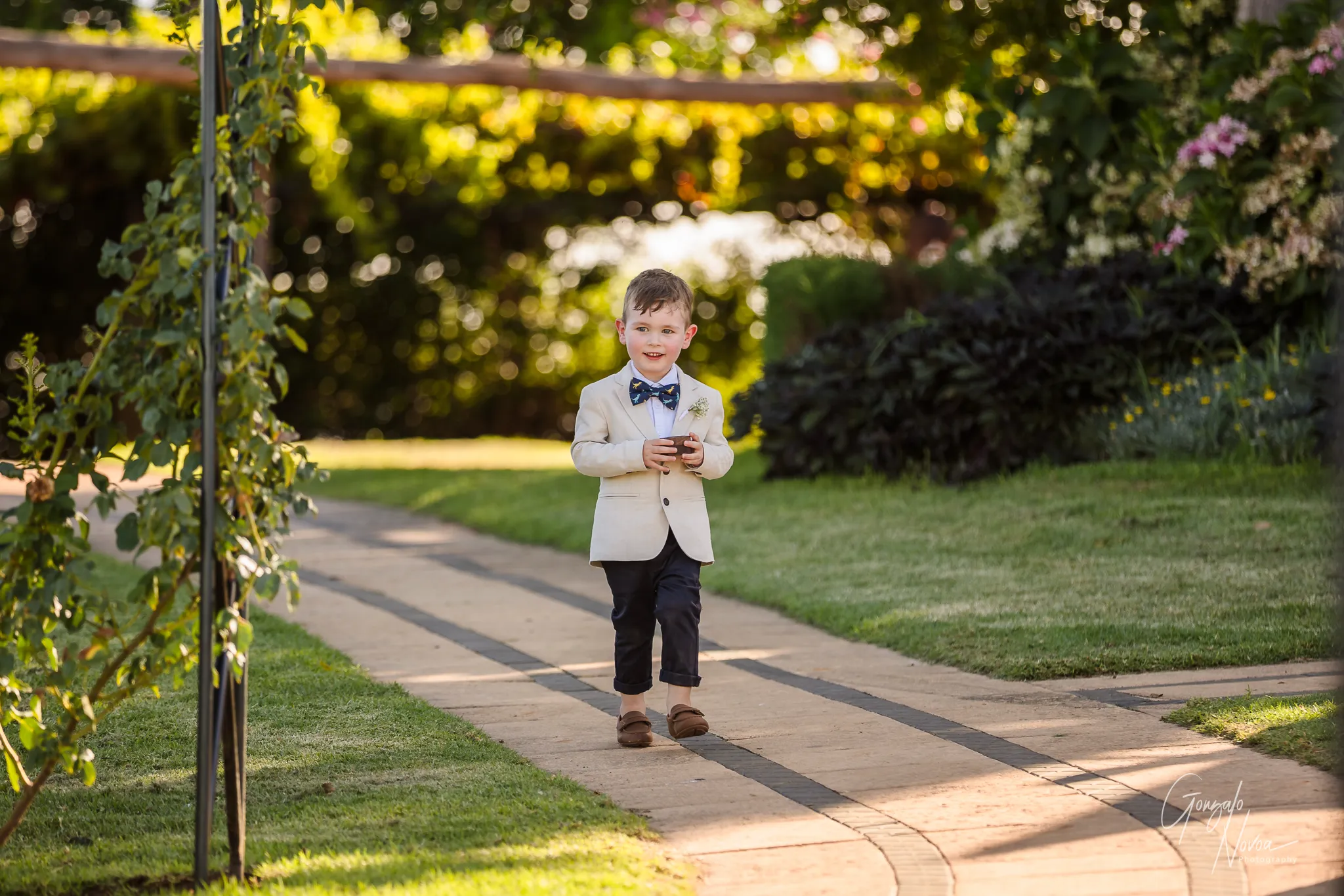 A young ring bearer in a cream jacket, navy bow tie, and dark pants walks down the aisle at Sittella Winery holding a small wooden box, smiling brightly.