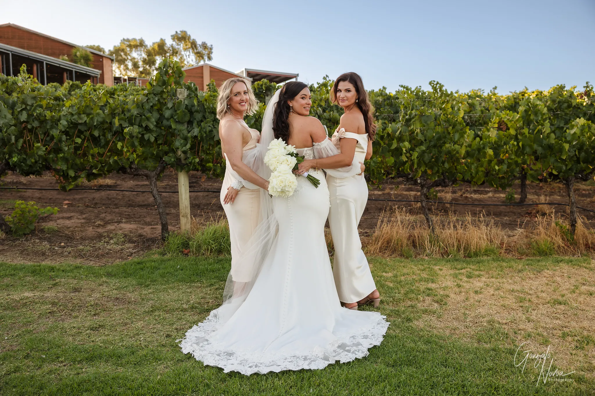 Bride holding a bouquet and standing between two bridesmaids in champagne dresses, all smiling and looking over their shoulders in front of vineyard rows at sunset